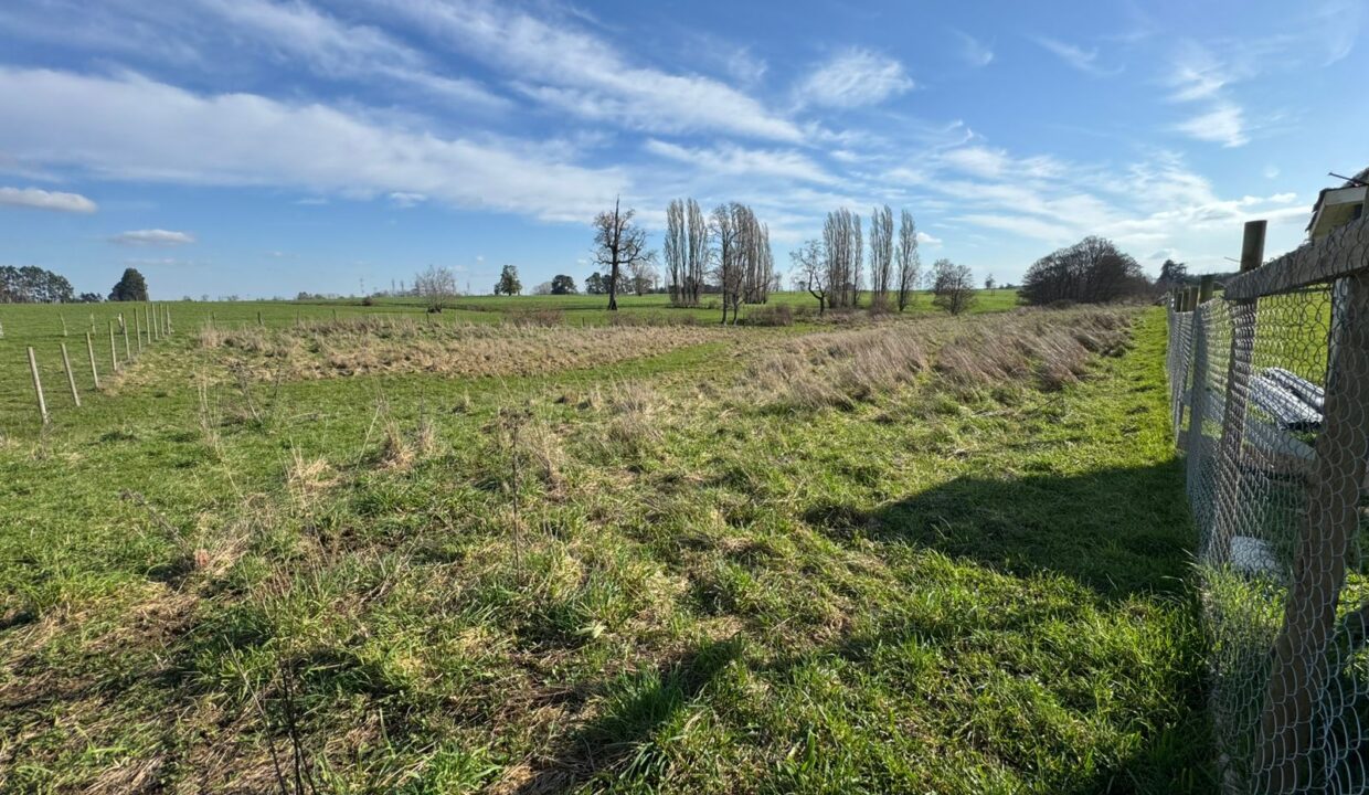 WhatsApp Image 2025-08-29 at 18.59.54_19f495d8