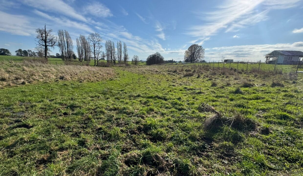 WhatsApp Image 2025-08-29 at 18.59.54_6b9817c6