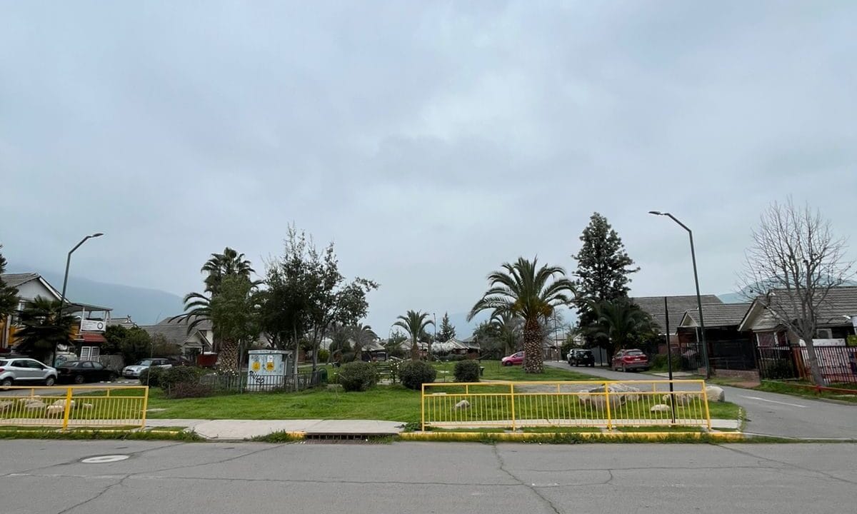 WhatsApp Image 2025-09-26 at 19.29.26_05a300d6